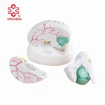 New Style Xincheng PVC Anatomical Brain Model for Medical Science