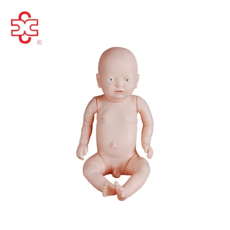 Newborn Baby Neonatal Manikin PVC Material Xincheng Brand XC-409A Medical Model