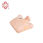 Pneumothorax / Pleural Drainage (Artificial Hydrothorax) Anatomical Model Simulator for Medical Science Model XC-465 (CN)