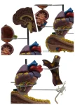 PVC Diabetes Anatomical Organ Model Medical Teaching Tool for Hospitals and Educational Use in Medical Science