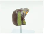 PVC Pathological Liver Model Visualize Common Hepatic & Gallbladder Disorders