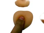 PVC Prostate Mass Anatomical Model Tactile Learning Tool for Medical Education