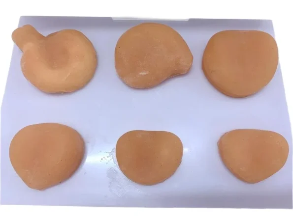 PVC Prostate Mass Anatomical Model Tactile Learning Tool for Medical Education