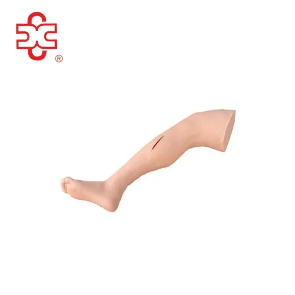 PVC Suture Practice Leg Surgical Training Manikin