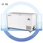 SCITEK Refrigeration Equipment -60 Degree Vertical Tuna Freezer with CFC Free Refrigerant LED Display & Microcomputer Control