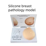 Silicone Breast Model for Medical Science Self-Examination Demonstration of Breast Pathology Education
