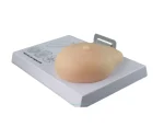 Silicone Breast Model for Medical Science Self-Examination Demonstration of Breast Pathology Education
