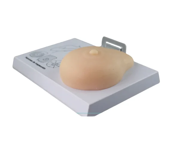 Silicone Breast Model for Medical Science Self-Examination Demonstration of Breast Pathology Education