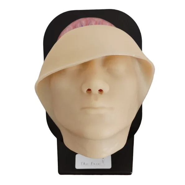 Silicone Female Facial Head Model with Blood Vessels and Nerves for Medical Aesthetic Training