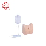Simple Female Urethral Catheterization Simulator-Medical Science Anatomical Model