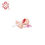 Suction Training Medical Model PVC Training Manikin XC-458