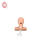 Suction Training Medical Model PVC Training Manikin XC-458