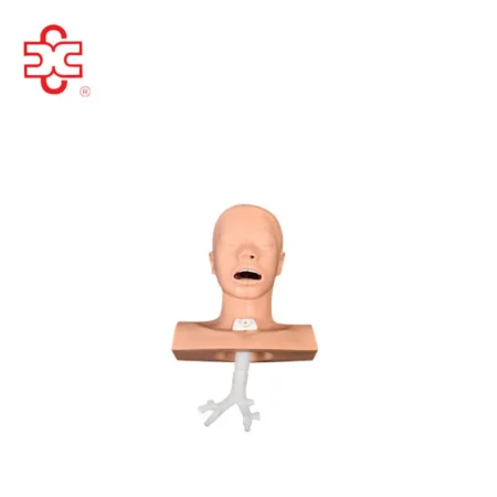 Suction Training Medical Model PVC Training Manikin XC-458