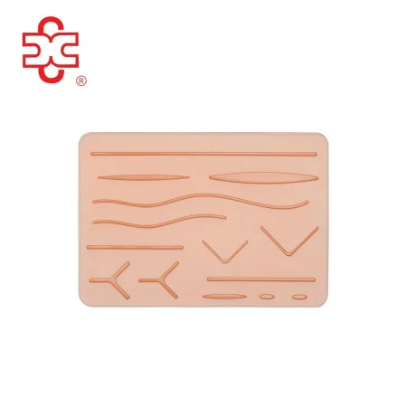 Suture Training Pad Anatomical Model XC-442B