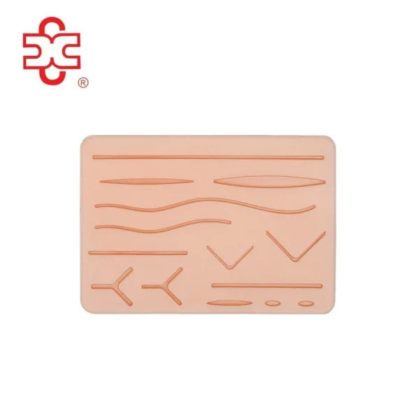 Suture Training Pad Anatomical Model XC-442B