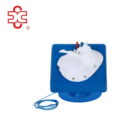 Temporal Bone Surgical Training Simulator-Anatomical Model for Medical Science