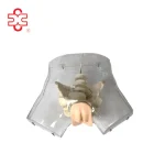 Transparent Female Urethral Catheterization Simulator Genital Model XC Brand XC-408F ISO Certified 14 Month Warranty