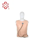 Wearable Cardiopulmonary Auscultation Simulator-Medical Science Anatomical Model Model XC-415C Made in China