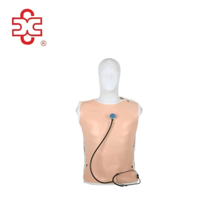 Wearable Cardiopulmonary Auscultation Simulator-Medical Science Anatomical Model Model XC-415C Made in China