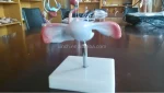Xincheng Artificial Vagina Manikin Model XC-436 PVC Material for Medical Science China Shanghai