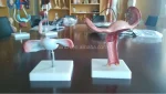 Xincheng Artificial Vagina Manikin Model XC-436 PVC Material for Medical Science China Shanghai